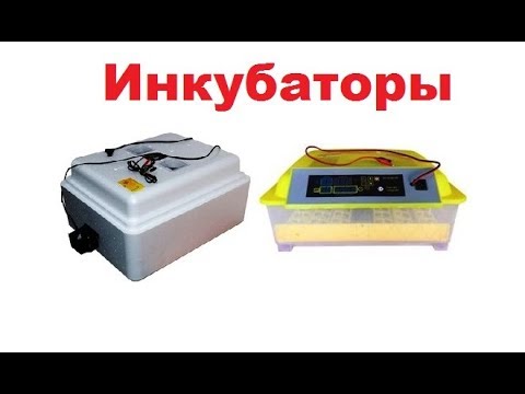 Видео: Инкубаторы Несушка и Умница