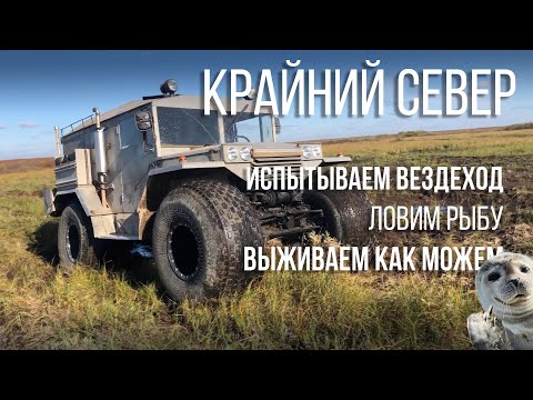 Видео: КРАЙНИЙ СЕВЕР. Самодельный вездеход, два дня болот тундры, рыбалка, страшный домик. Варим уху.....и
