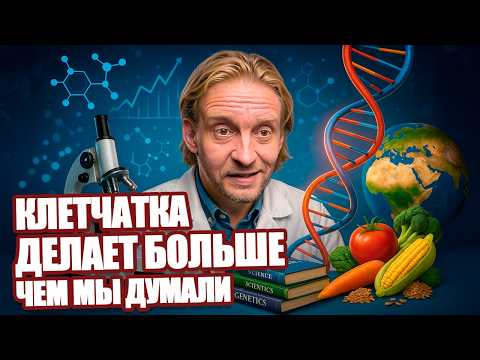 Видео: ВСЕ, ЧТО НАУКА ЗНАЕТ О КЛЕТЧАТКЕ! ПОЧЕМУ ОНА СНИЖАЕТ РИСК СМЕРТИ!