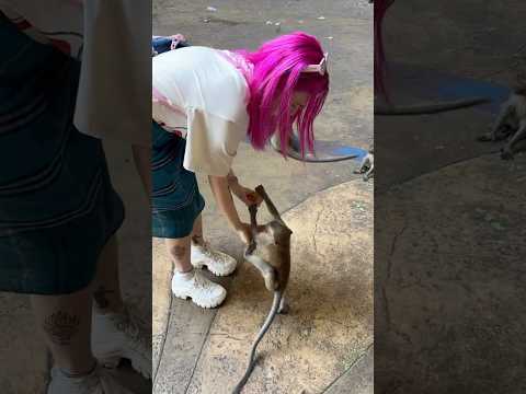 Видео: Полный влог из пещеры с обезьянами уже на канале #batucaves #путешествия