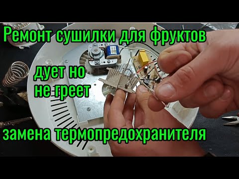 Видео: Ремонт сушилки для фруктов Sakura SA-7801 не включается