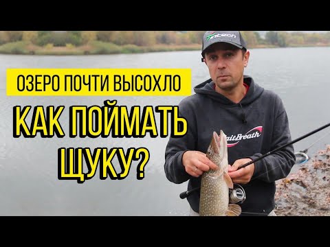 Видео: 12 щук на бесхозной луже! Как и Где ловить щуку на мелководье