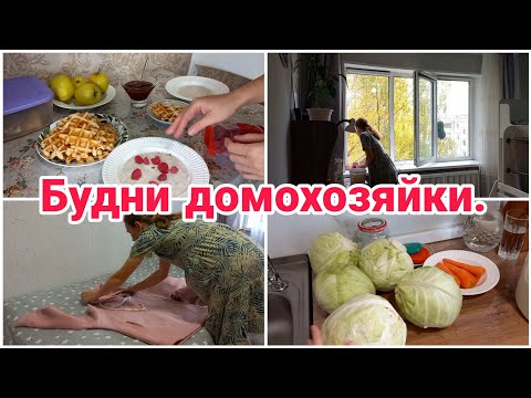 Видео: Будни домохозяйки// Уборка// Готовка//Заготовка на зиму//