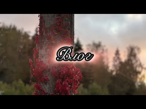 Видео: Влог | Съемки | Гараж | Ходим с мамой по магазинам | День рождения брата | Дача |