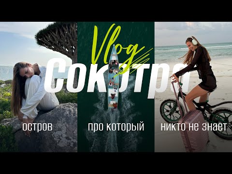 Видео: СОКОТРА - ОСТРОВ ПРО КОТОРЫЙ НИКТО НЕ ЗНАЕТ | ПУТЕШЕСТВИЕ В ЙЕМЕН 🇾🇪 | ВЛОГ
