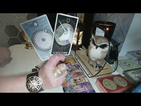 Видео: 🔥🤦Сумасшедший🔥. Что сейчас заставляет его так переживать🔥🤦