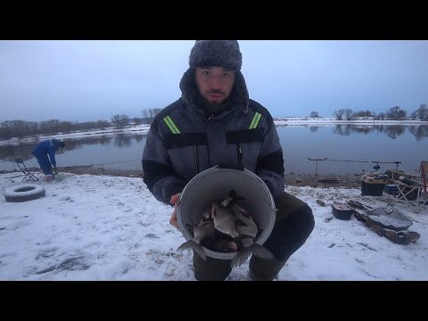 Видео: ЗИМНИЙ СУПЕР ФИДЕР! Рыбалка в Лыткарино. Все сошлось, клевало отлично. Панамафиш #32