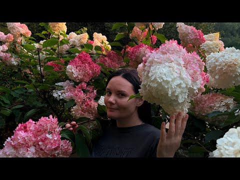 Видео: Сокольники с детьми: лучший парк Москвы? | Куда сходить с ребенком | Обзор парка