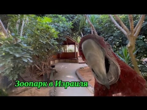 Видео: Зоопарк Израиля, Говорящий попугай😱😱 