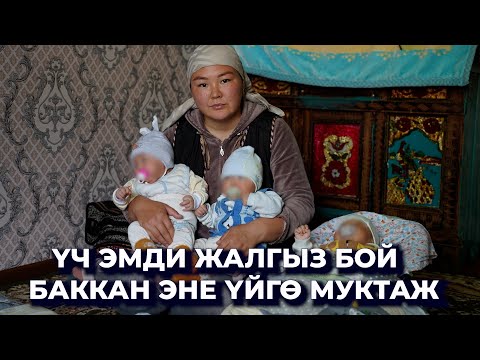 Видео: Кош бойлуу кезимде ажырашканбыз, азыр атасы каралашпайт/ Үч эмдин энесин түйшөлткөн тагдыр