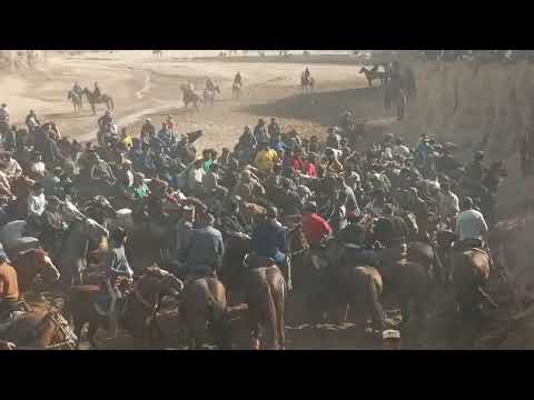 Видео: Бузкаши дар шахри Турсунзода Шулунг 01 11 2025 с