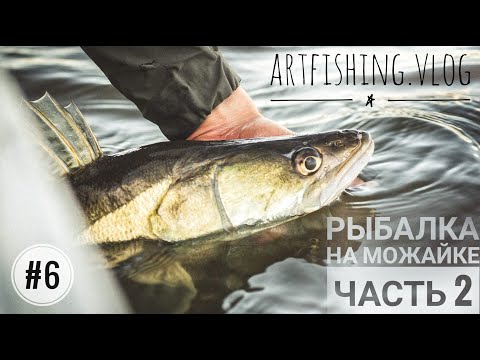 Видео: Осенняя рыбалка на Можайском вдхр. Часть 2. Artfishing.Vlog #6