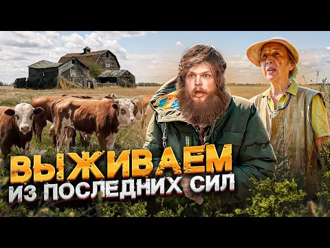 Видео: ГЕНИЙ ЗАТВОРНИК И ЕГО МАМА ВЫЖИВАЮТ НА СТАРОЙ ФЕРМЕ В ДИВЕЕВО - НУЖНА ПОМОЩЬ