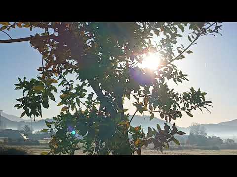 Видео: Пенсия в Италии. Обьясняю, то, что знаю из личного опыта