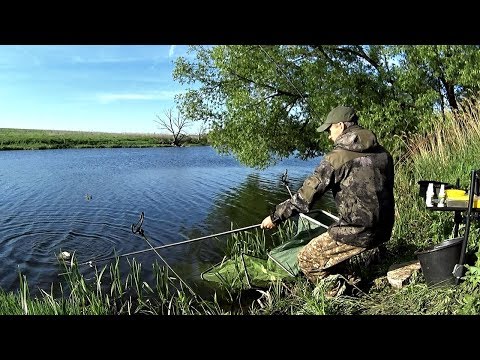 Видео: ПОЙМАЛ! Еду за Лещом. Верховье реки Дон. Рыбалка на Фидер.