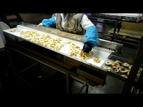 Видео: Вибробункер и вибросито в конвейерной линии подачи снеков  Vibrating hopper