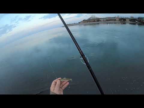 Видео: Как ловить сибаса на джиг в Черногории. Уловистые приманки.