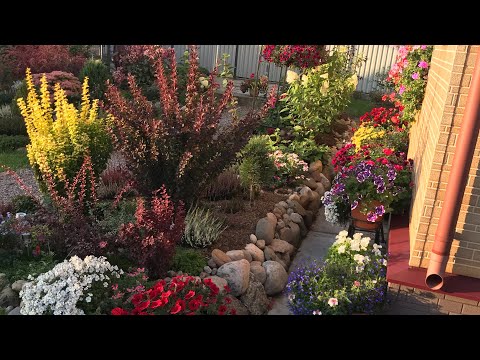 Видео: К нам пришло 🌼Бабье Лето🌼мой цветник 🌺🌸🌺ЦВЕТЁТ и ПАХНЕТ🌺🌸🐝🦋🥀🥀🥀