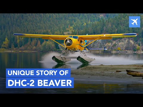 Видео: Как DHC-2 Beaver спас Аляску?