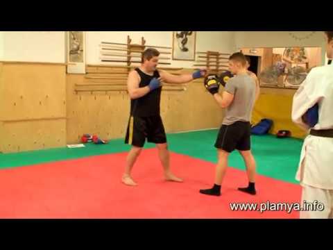Видео: Боковой удар по лапам - Радислав Рева