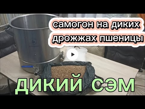Видео: Самогон на диких дрожжах пшеницы. ДИКИЙ СЭМ.