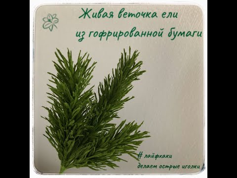 Видео: Живая ветка ели из гофрированной бумаги
