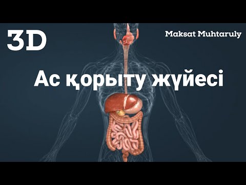 Видео: АС ҚОРЫТУ ЖҮЙЕСІ