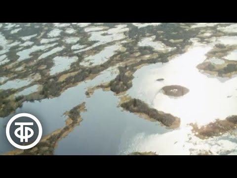 Видео: Западно-Сибирская нефть (1976)