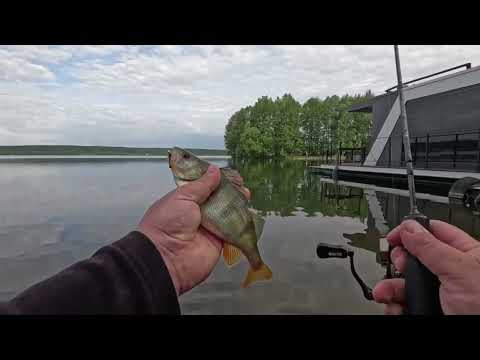 Видео: Отличная мормо рыбалка, на Воронежском водохранилище