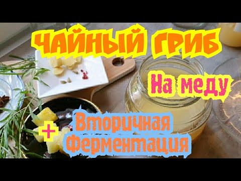 Видео: ЧАЙНЫЙ ГРИБ НА МЕДУ. Подробная  Инструкция  Для Новичков. Вторичная Ферментация Jun Kombucha