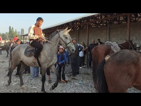 Видео: АТ БАЗАР БАЗАР  КОРГОН
