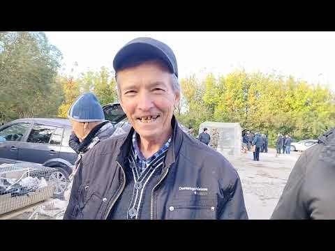 Видео: Ярмарка голубей г Узловая