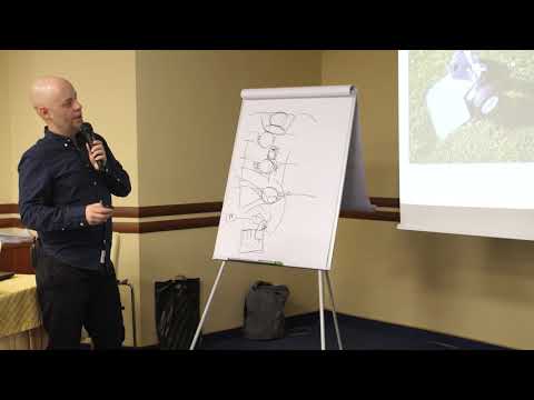 Видео: Посадка  лиственных деревьев/ Посадка крупномеров/Городское озеленение/Посадка декоративных деревьев