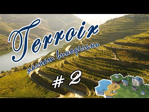 Видео: Terroir #2 - Прохождение | Новый виноградник с шардоне