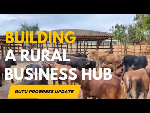 Видео: Превращение сельской местности Гуту в центр бизнеса | Новости развития Sonke Farms