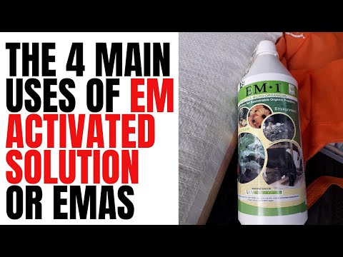 Видео: Как я использую активированный раствор EM (EMAS) на ферме Фредди