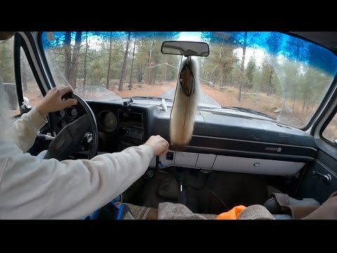 Видео: Давайте поймаем горного бобра! #горныелюди #охотникнакойотов #каналистории #охотникнадикойприроды