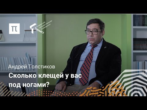 Видео: Панцирные клещи — Толстиков Андрей
