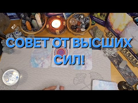 Видео: СОВЕТ ОТ ВЫСШИХ СИЛ!