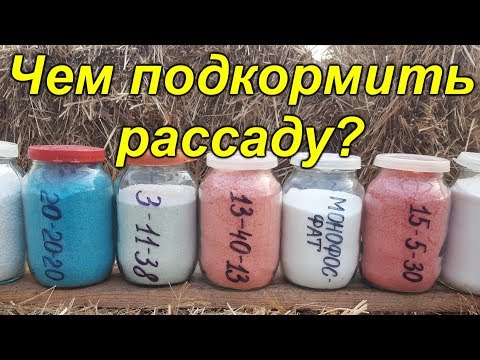 Видео: Какие удобрения нам понадобятся для подкормок растений.