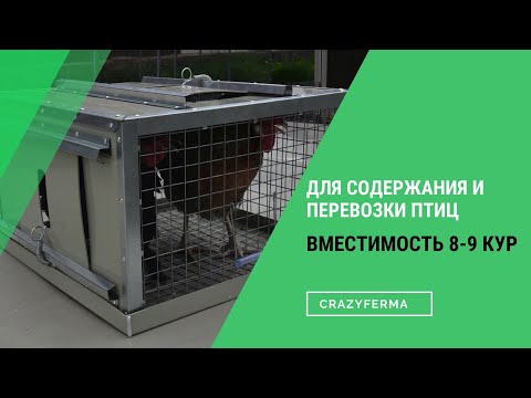 Видео: Клетка переноска для птицы с 2 дверцами