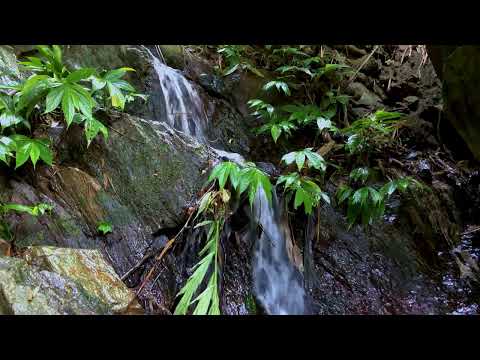 Видео: Мон Ого Ул гүнлэхүй