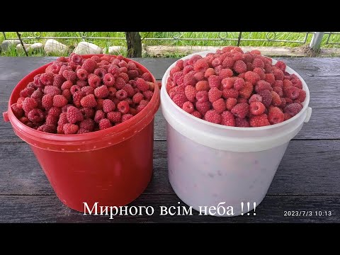 Видео: МАЛИНОВЕ ВАРЕННЯ/АРОМАТНЕ КОРИСНЕ і СМАЧНЕ/ПРОСТИЙ і ЛЕГКИЙ РЕЦЕПТ ПРИГОТУВАННЯ