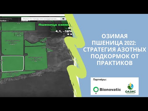 Видео: Озимая пшеница 2022: стратегия азотных подкормок от практиков
