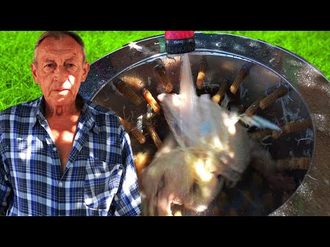 Видео: ПЕРОСЪЕМНАЯ МАШИНА ДЛЯ УТОК / ПСМ - 60 ЛУЧШИЙ ПОМОЩНИК