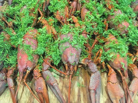 Видео: РАКИ. КАК СОХРАНИТЬ ДОЛГО ЖИВЫМИ.