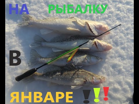 Видео: РЫБАЛКА НА СУДАКА.ПЕРВЫЙ ВЫЕЗД 2024 ГОДА!