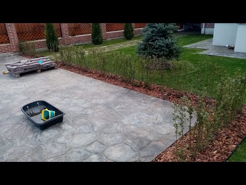 Видео: Живая изгородь из кизильника блестящего. Подробное руководство. Стриженная форма. Топиарные стрижки.