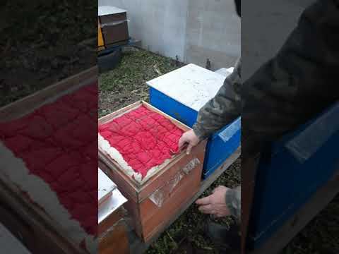Видео: Вентиляция в ульях на зиму.