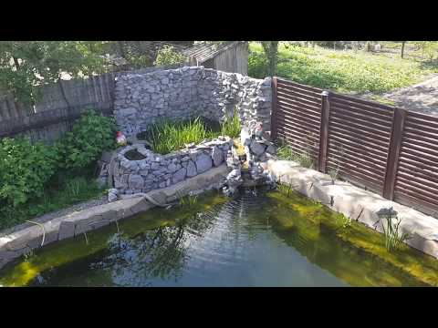 Видео: Пруд  Чистая вода  Ответы на вопросы